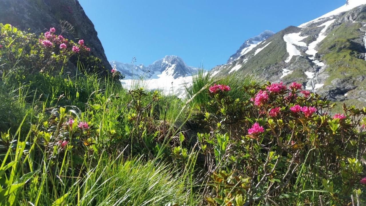Apartment Eberharter Zell am Ziller Zewnętrze zdjęcie